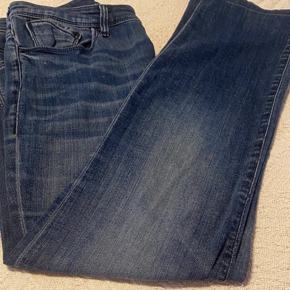 JHaus Deep Blue Straight Leg Women's Jeans